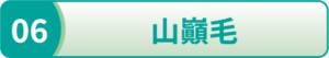 山巓毛