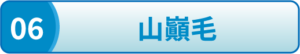 山巓毛