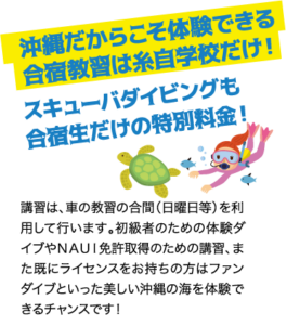 沖縄だからこそ体験できる合宿教習は糸自学校だけ！ スキューバダイビングも合宿生だけの特別料金！ / 講習は、車の教習の合間（日曜日等）を利用して行います。初級者のための体験ダイブやＮＡＵＩ免許取得のための講習、また既にライセンスをお持ちの方はファンダイブといった美しい沖縄の海を体験できるチャンスです！