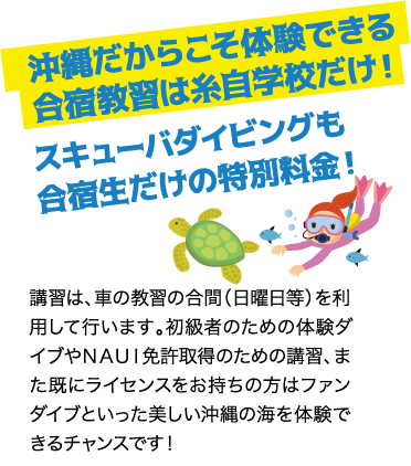 沖縄だからこそ体験できる合宿教習は糸自学校だけ！ スキューバダイビングも合宿生だけの特別料金！ / 講習は、車の教習の合間（日曜日等）を利用して行います。初級者のための体験ダイブやＮＡＵＩ免許取得のための講習、また既にライセンスをお持ちの方はファンダイブといった美しい沖縄の海を体験できるチャンスです！